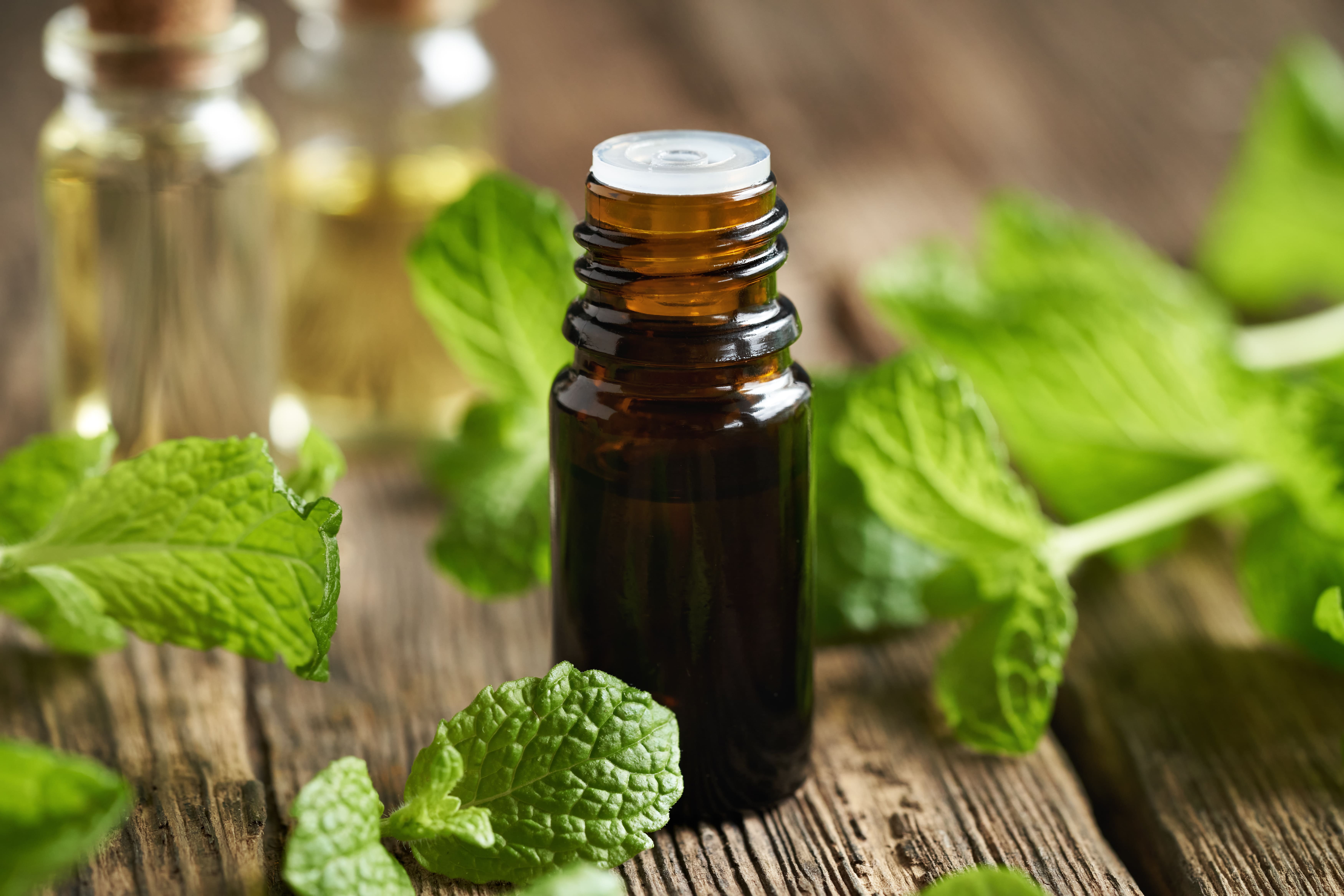 Huile essentielle de menthe poivrée quels sont ses bienfaits — free download